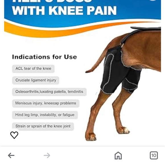 CHAMIN/RISURRY Dog Knee Brace
Visit >
Support for Back Legs with Metal.. - Picture 2 of 4